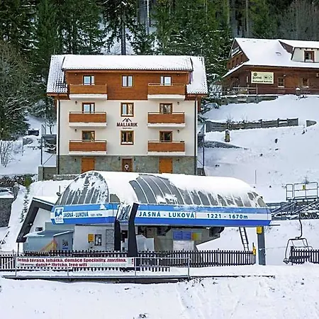 Maliarik Demänovská Dolina